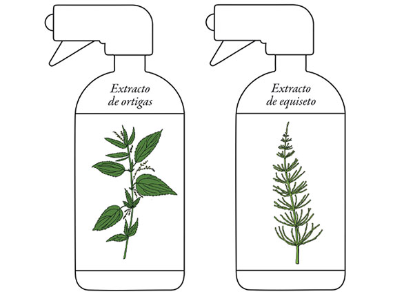 Sustancias básicas contra plagas y enfermedades